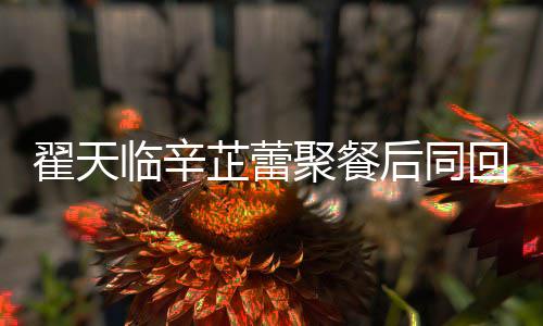临辛临辛芷蕾芷蕾怎么感情翟天翟天聚餐样后同回爱巢